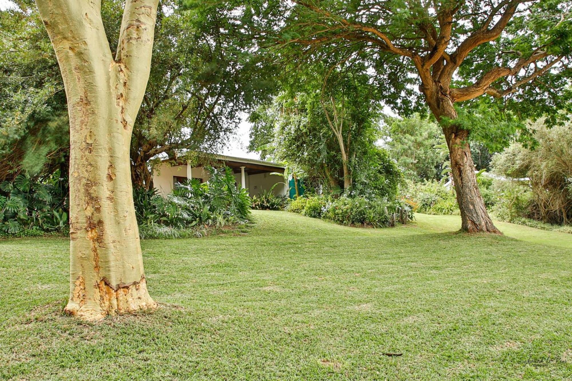 Ndlovu Addo River Lodge Kirkwood Екстериор снимка